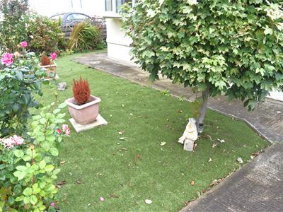 Picture 16